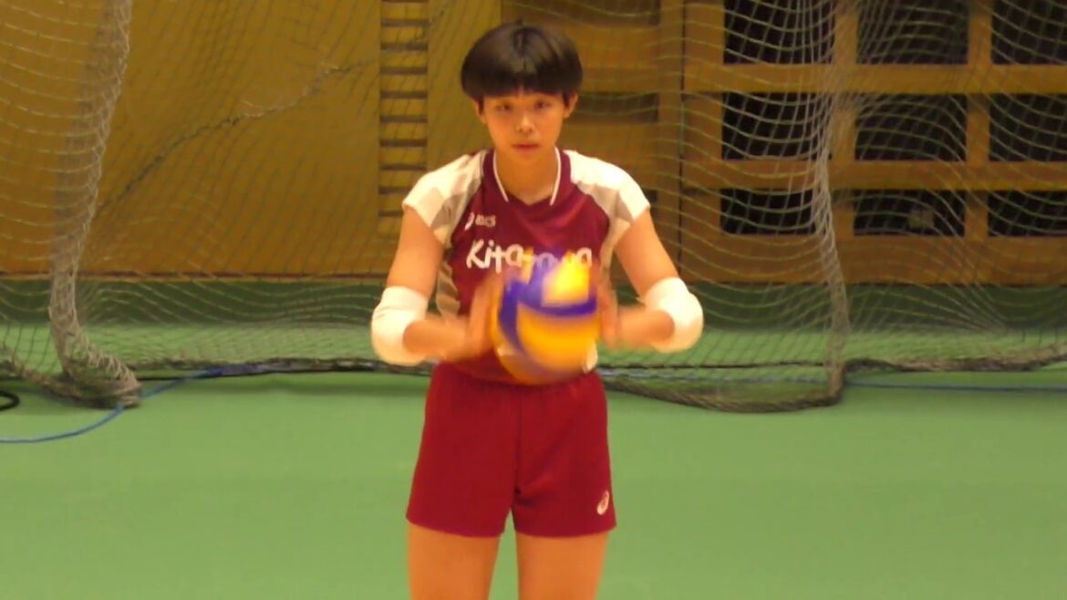 ドリームチーム　バレーボール